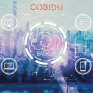 COBIDU BACKUP SOFTWARE CBS-1U-1Y Yedekleme Yazılımı