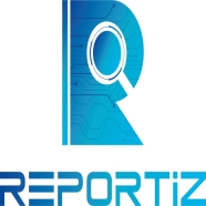 REPORTİZ REPLv01 On-Prem (Yerinde Kurulum) 1 Test 12 Aylık Lisans Sadece Yazı...