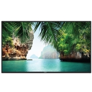 ARÇELİK A43PLU 5045BW Endüstriyel Monitör