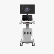 8056304455628 ESAOTE MYLAB E80 MyLab™E80 Sabit Renkli Doppler Ultrasonografi ...