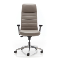 RAPIDO QUANTUM QT06AL Çalışma Koltuğu