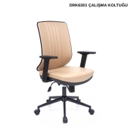 BİOFİS DARK DRK6301 Çalışma Koltuğu