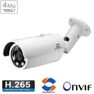 GWSECU KD-MT76RC22-P Güvenlik Kamerası