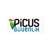 PİCUS GÜVENLİK PCS-ASGY-1V Atak Simülasyonu ve denetim yazılımı Sadece Yazılı...