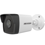 HIKVISION NEI-B3021 NEI-B3021 İÇ/DIŞ ORTAM Güvenlik Kamerası