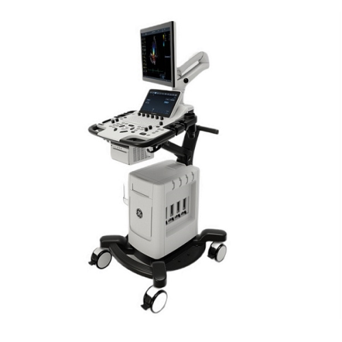 00195278796455 GE HEALTHCARE H48082BZ Vivid T9 V208 Sabit Renkli